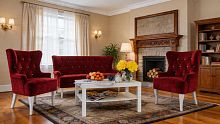 Кресло Флоренция, Базовые ткани, Velutto Soft цвет Красный, 60х70 см